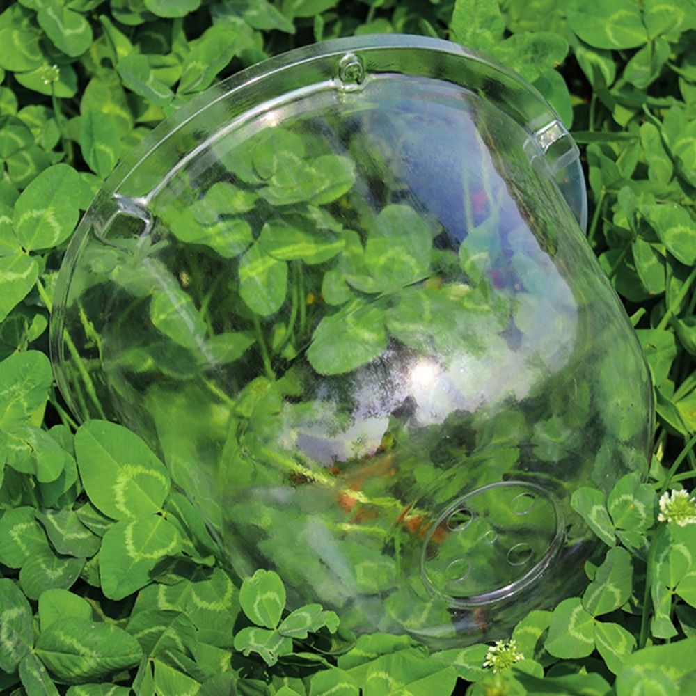 Copertura Protettiva Riutilizz - Plastic Dome Clear recensione e prezzo