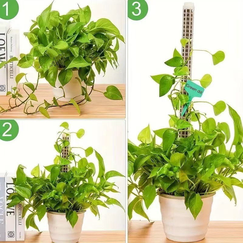 1/2/3 pz. Palo per muschio aut - Sphagnum Moss Dry recensione e prezzo