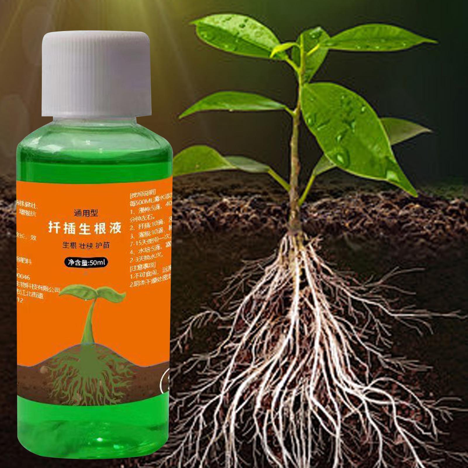 Stimolatore di Radici ad Alta  - Root Stimulator Liquid recensione e prezzo