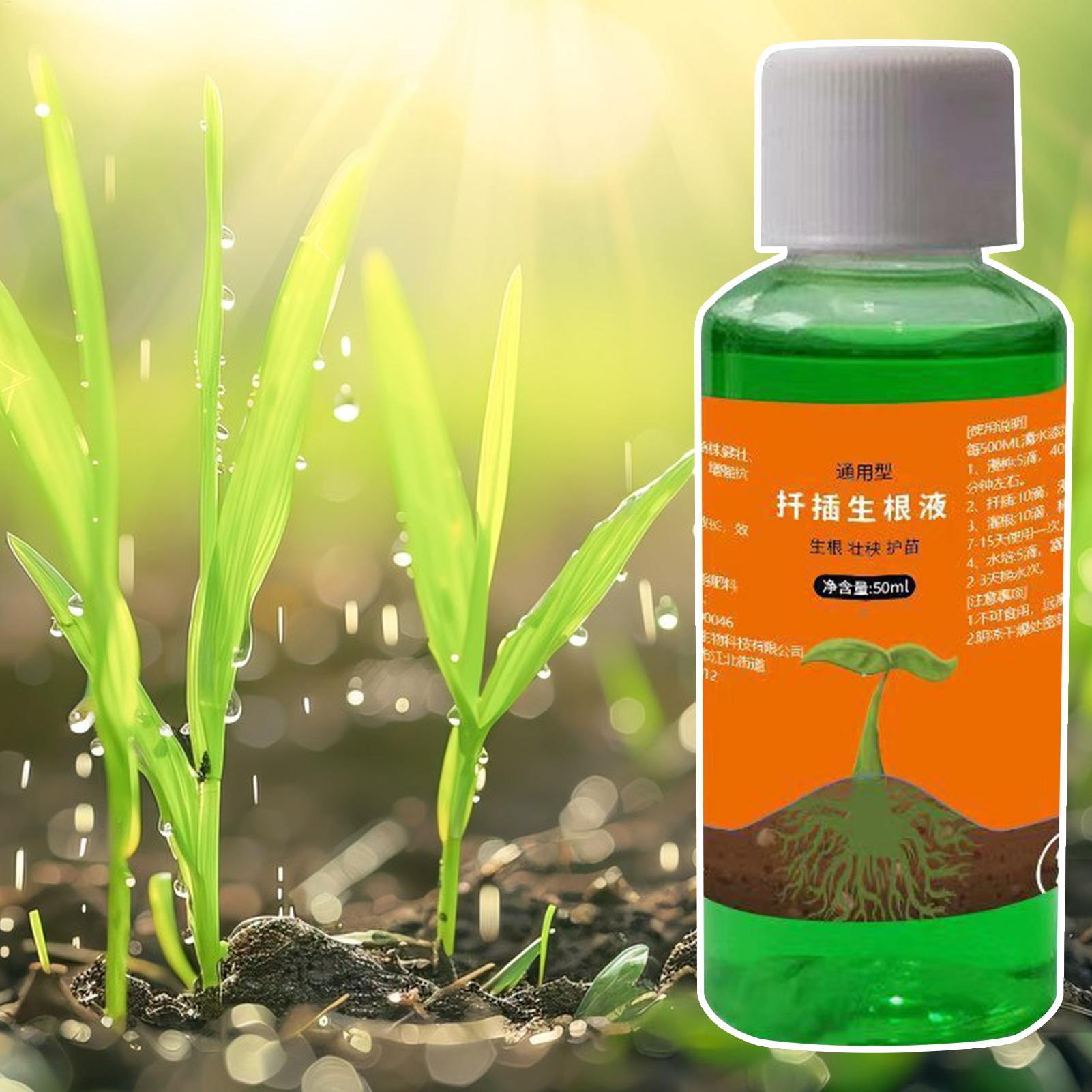 Stimolatore di Radici ad Alta  - Root Stimulator Liquid recensione e prezzo