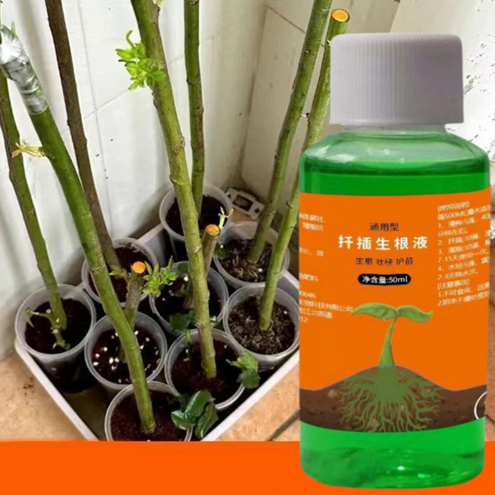 Stimolatore di Radici ad Alta  - Root Stimulator Liquid recensione e prezzo