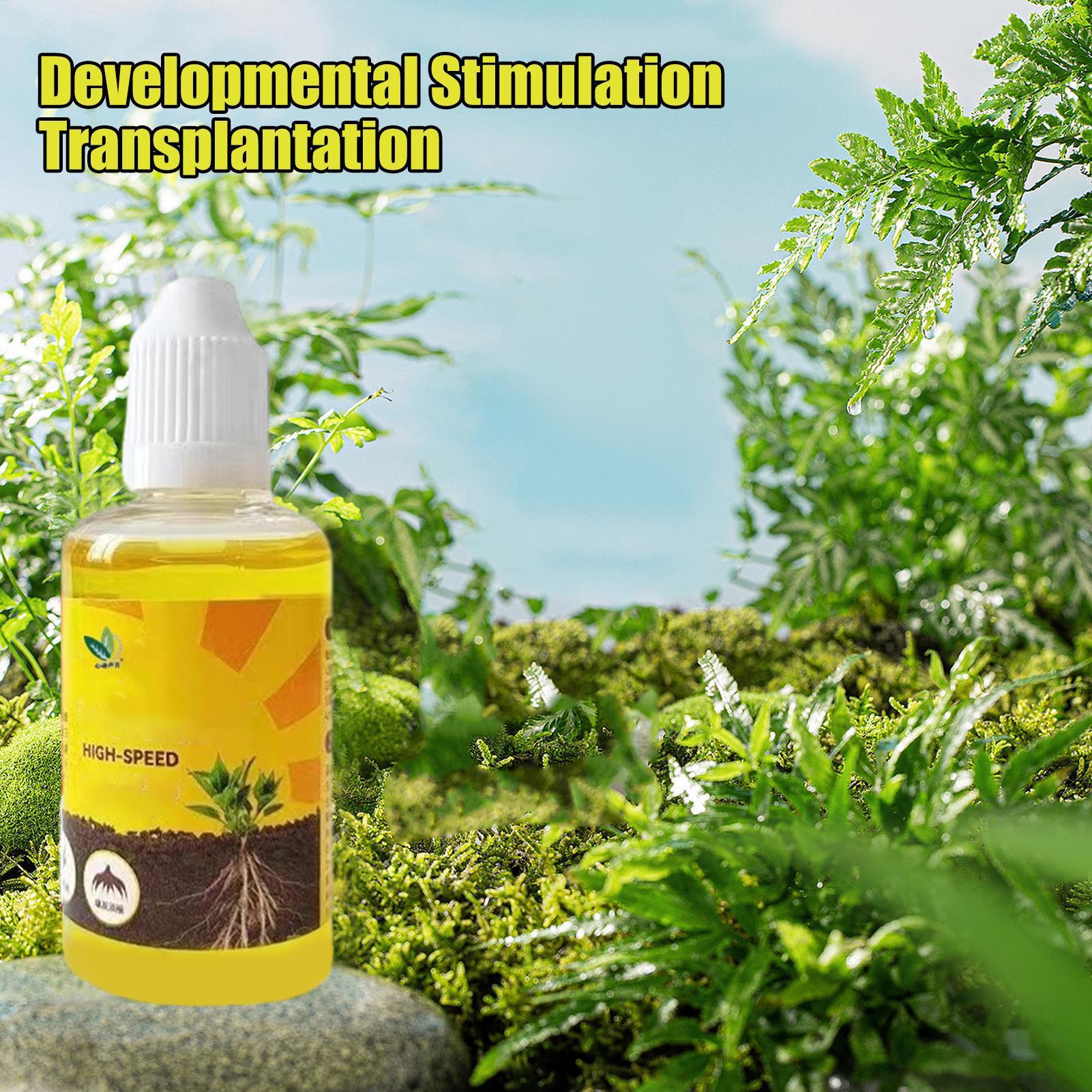 Resurrezione delle piante Liqu - Root Stimulator Liquid recensione e prezzo