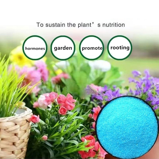 200g Giardino Fertilizzante so - Rooting Hormone Powder recensione e prezzo