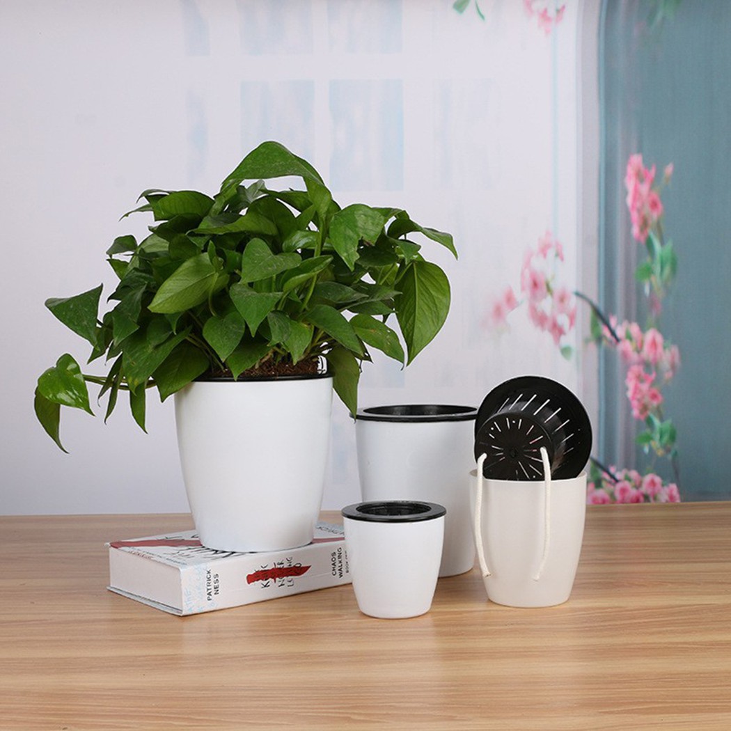 Irrigazione automatica piante  - Self Watering Insert recensione e prezzo