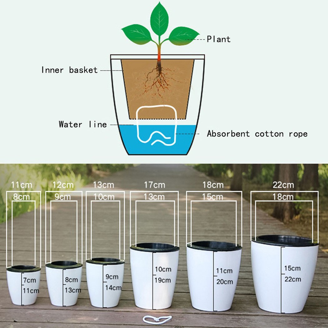 Irrigazione automatica piante  - Self Watering Insert recensione e prezzo
