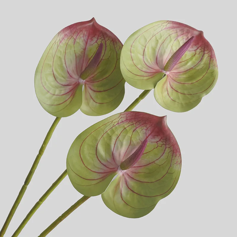Fiore simulato soggiorno decor - Sphagnum Moss Dry recensione e prezzo