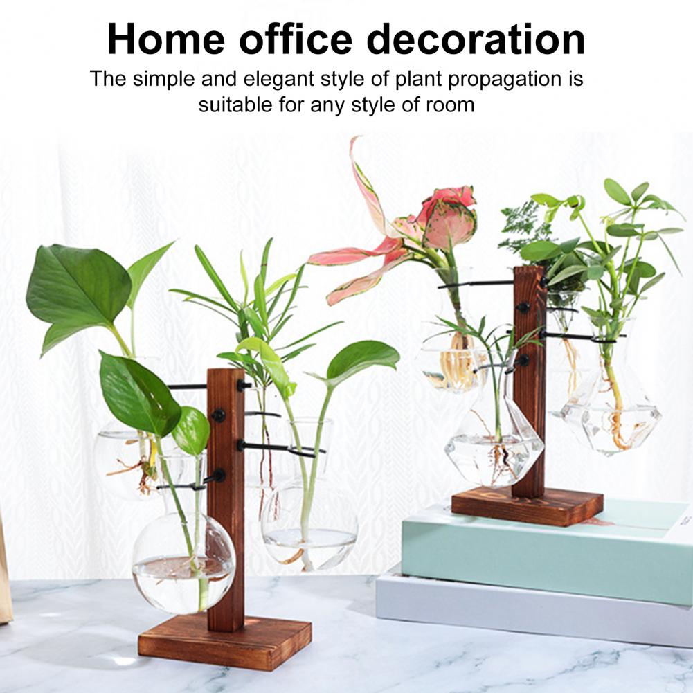 1 Set 10*25 cm Piante Stazione - Propagation Station Vase recensione e prezzo