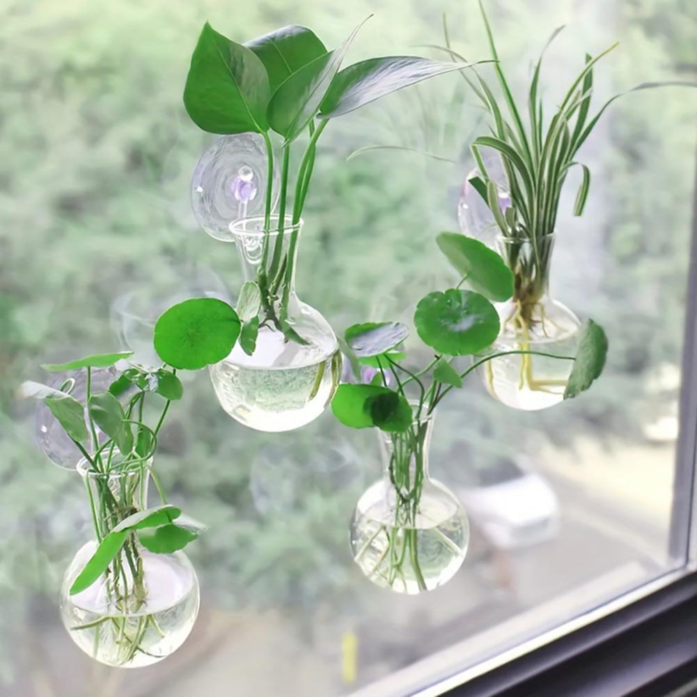 1/2/3/4/6/8 Pezzi Vaso per Pro - Propagation Station Vase recensione e prezzo