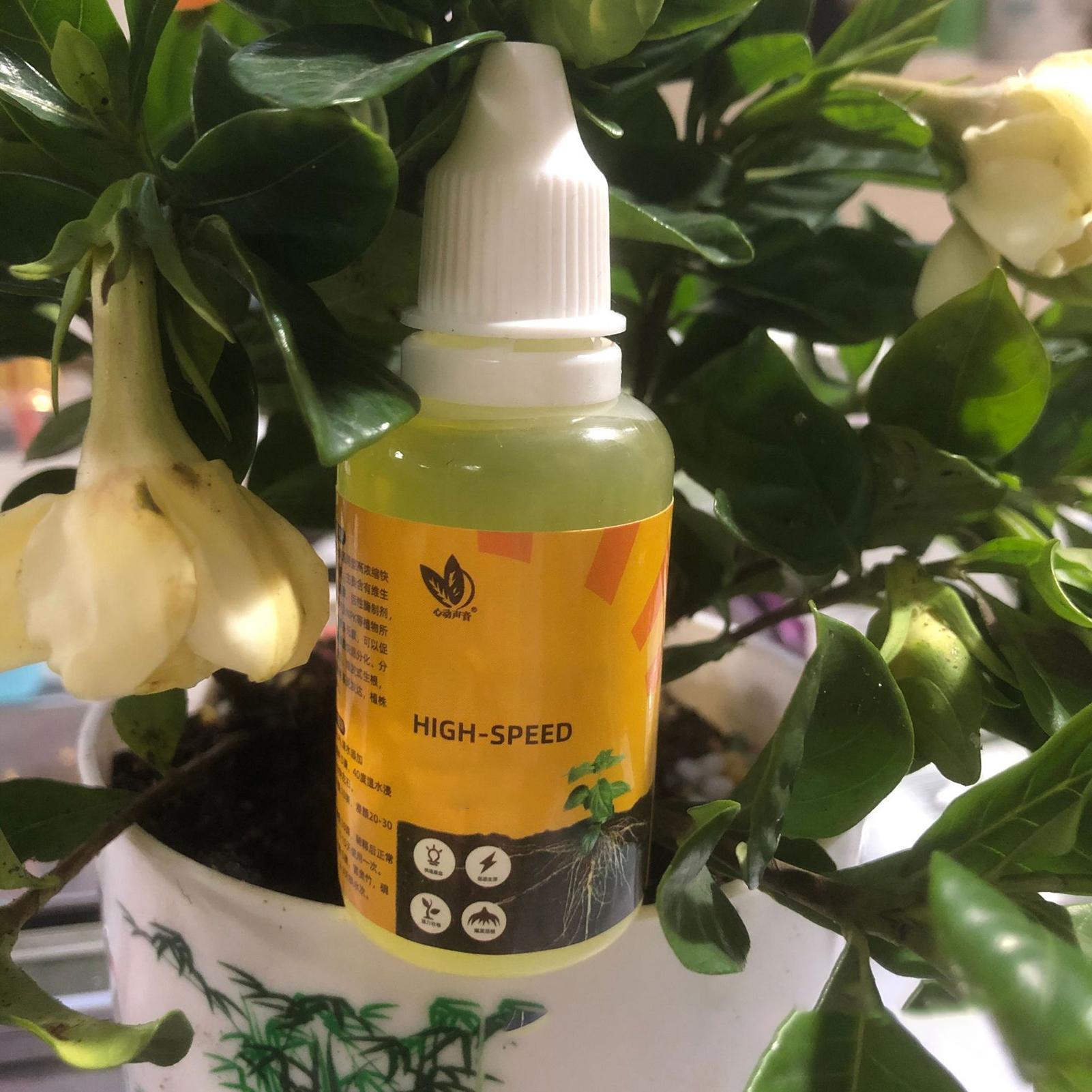 Soluzione per Radicazione Rapi - Root Stimulator Liquid recensione e prezzo