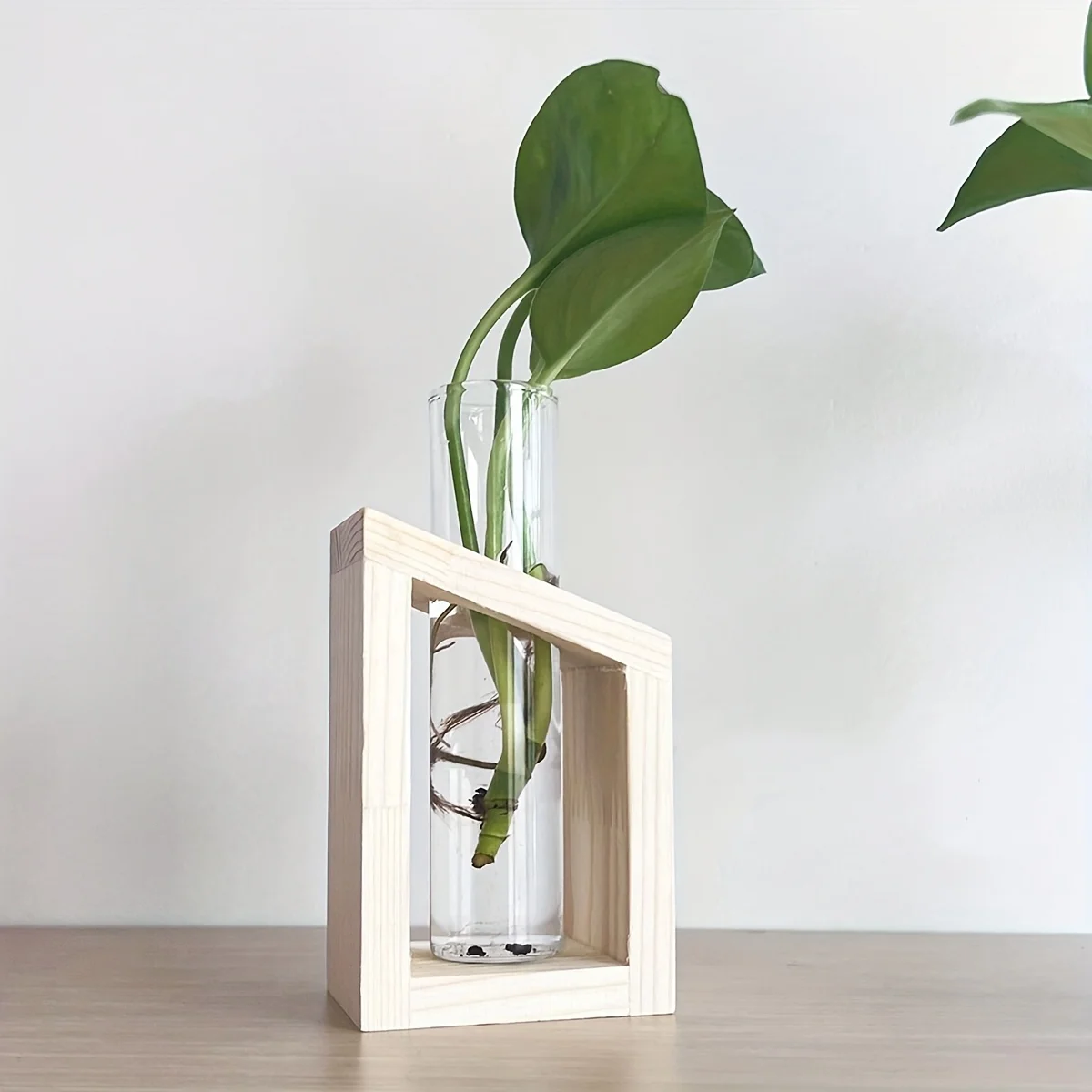 Provetta Vaso di vetro Stazion - Propagation Station Vase recensione e prezzo