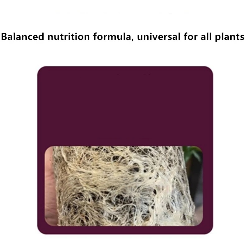 2 sacchetti di ormone radicola - Rooting Hormone Powder recensione e prezzo