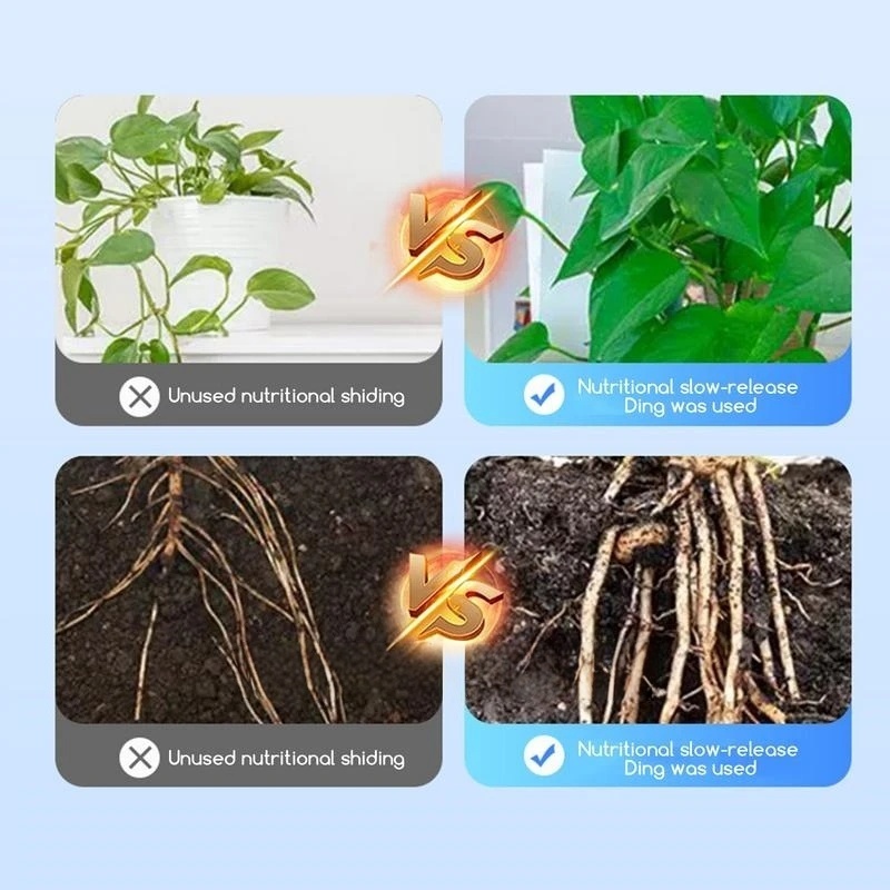 2 sacchetti di ormone radicola - Rooting Hormone Powder recensione e prezzo