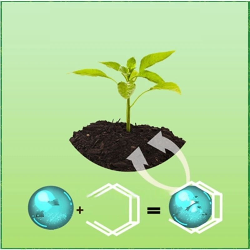 500g Polvere di ormone radicol - Rooting Hormone Powder recensione e prezzo