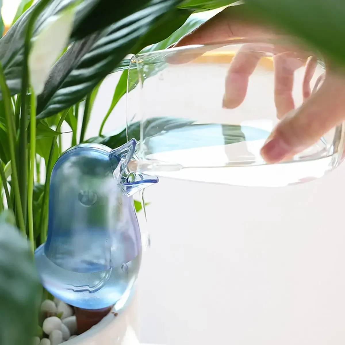 Irrigatore automatico per fior - Self Watering Insert recensione e prezzo