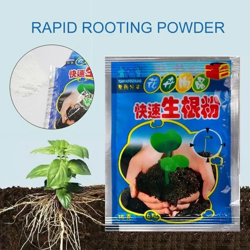 5 pz Radicazione Veloce Polver - Rooting Hormone Powder recensione e prezzo