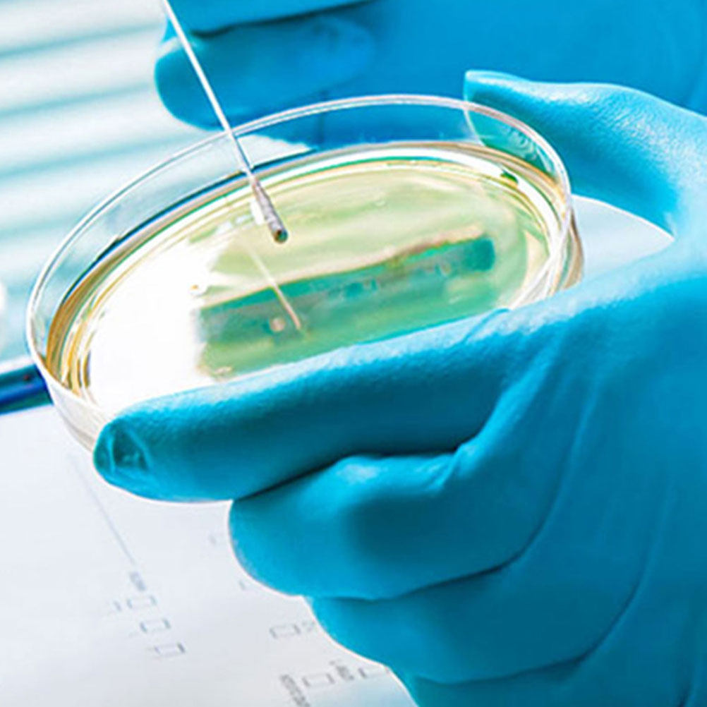 10 Pezzi Piastre Petri in Plas - Agar Tissue Culture recensione e prezzo