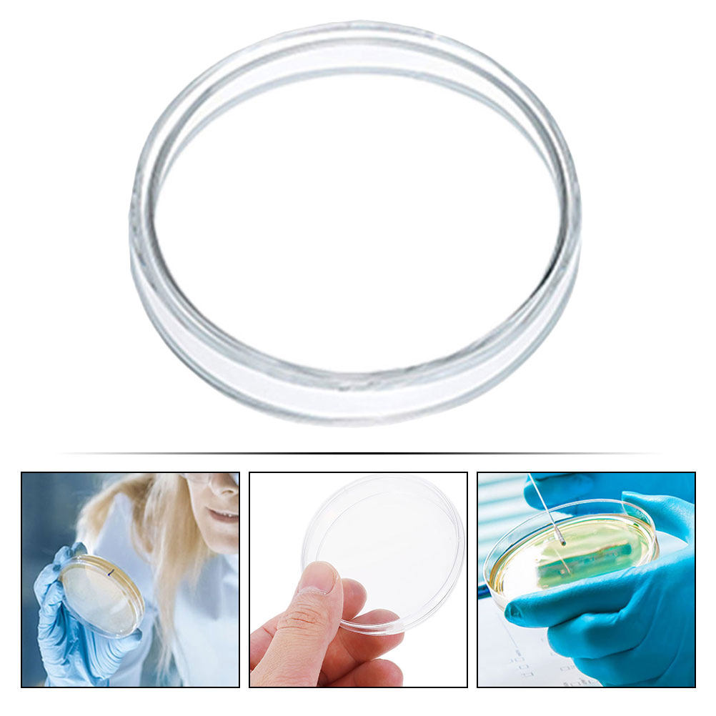 10 Pezzi Piastre Petri in Plas - Agar Tissue Culture recensione e prezzo