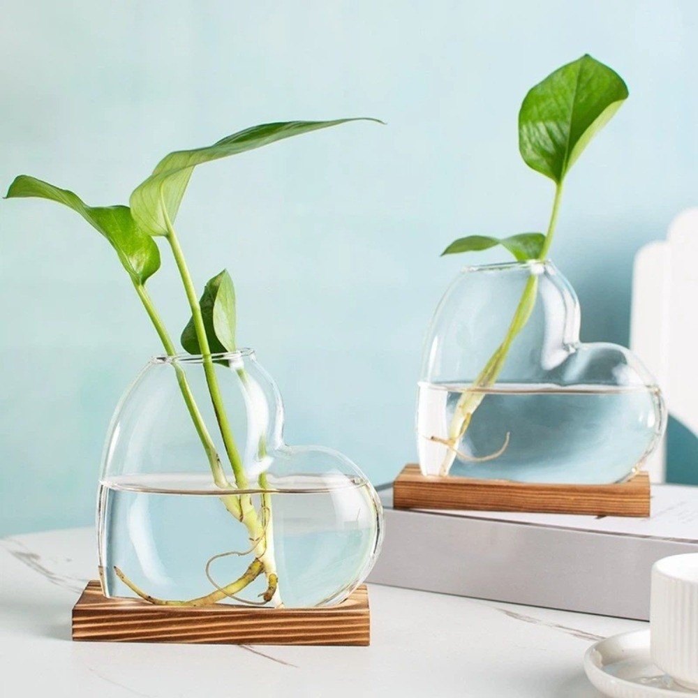 Vaso in Vetro Trasparente per  - Propagation Station Vase recensione e prezzo