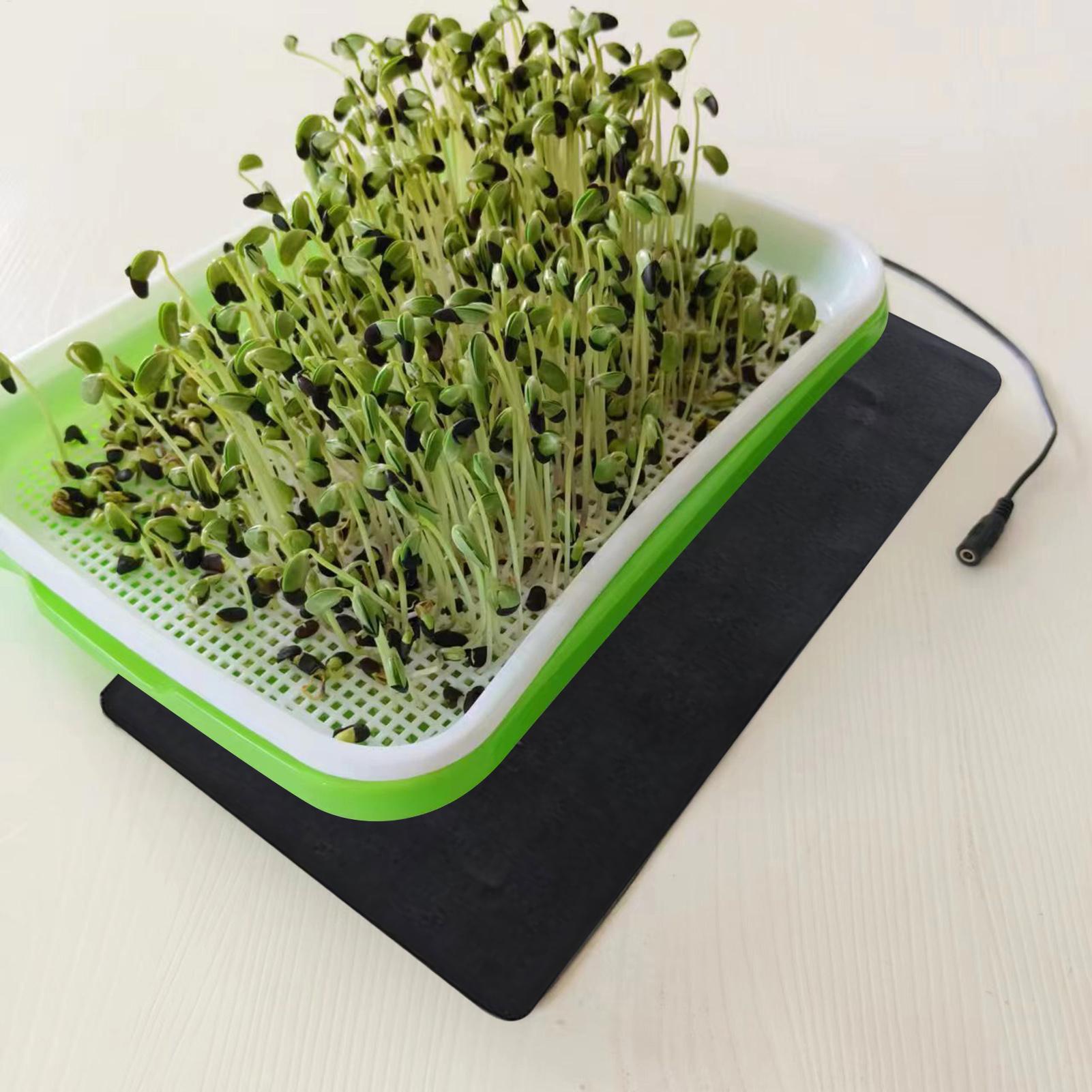 Tappetino Riscaldante per Seme - Heat Mat Seedling recensione e prezzo