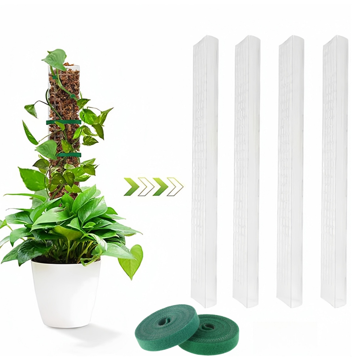 2/4/6 pezzi palo di muschio su - Sphagnum Moss Dry recensione e prezzo