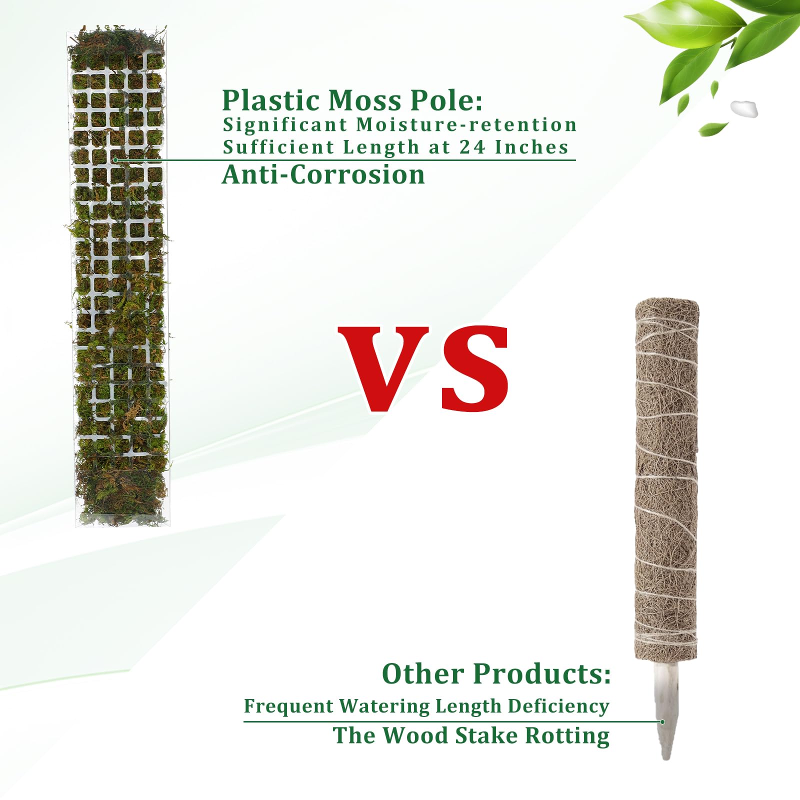 2/4/6 pezzi palo di muschio su - Sphagnum Moss Dry recensione e prezzo