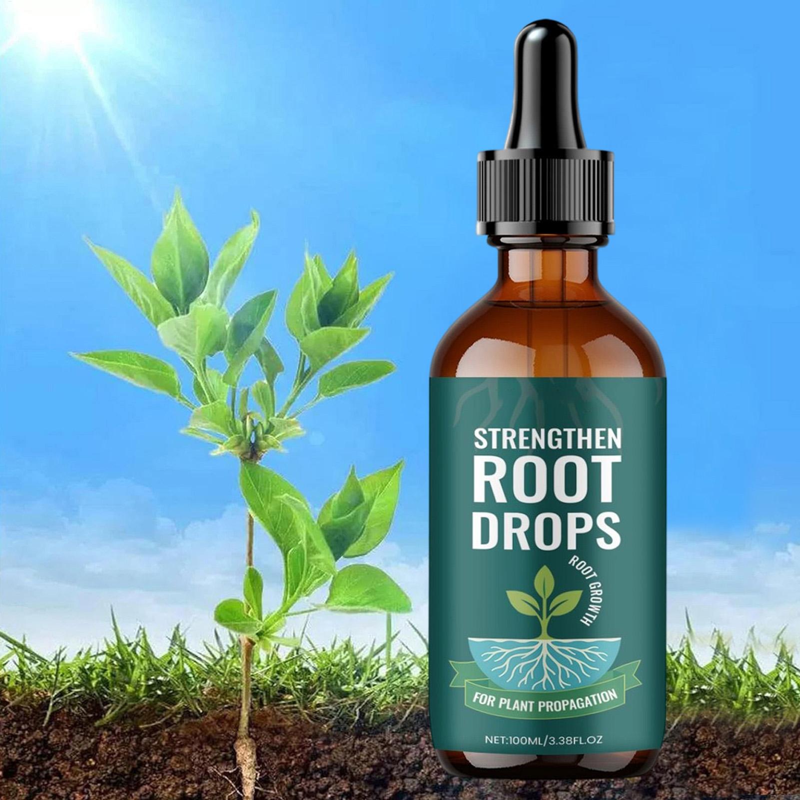 Gocce liquide per l'innesto de - Root Stimulator Liquid recensione e prezzo